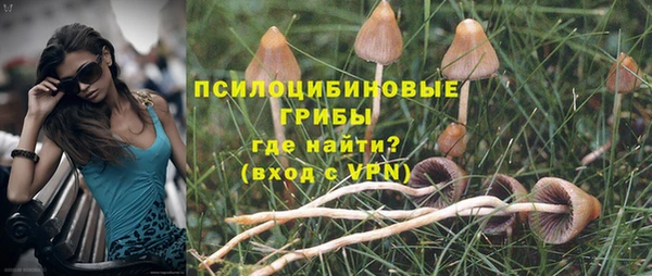 твердый Нязепетровск