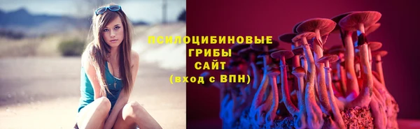 дмт Богородск