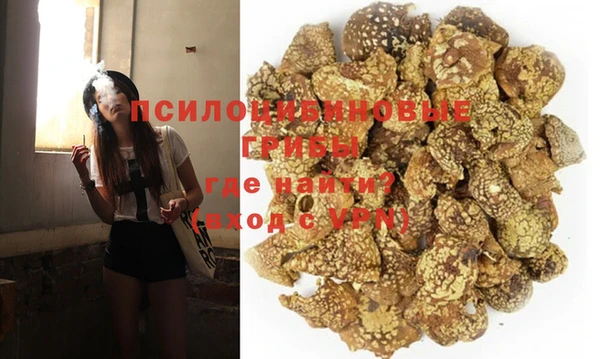 мяу мяу мука Белокуриха