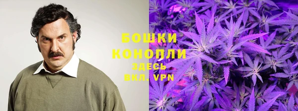мяу мяу мука Белокуриха