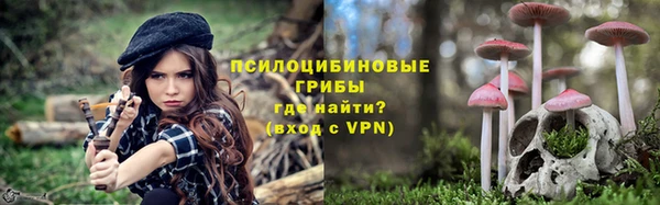 мяу мяу мука Белокуриха