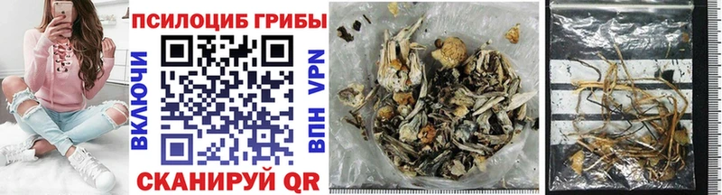 гидра рабочий сайт  Мостовской  Псилоцибиновые грибы Magic Shrooms 